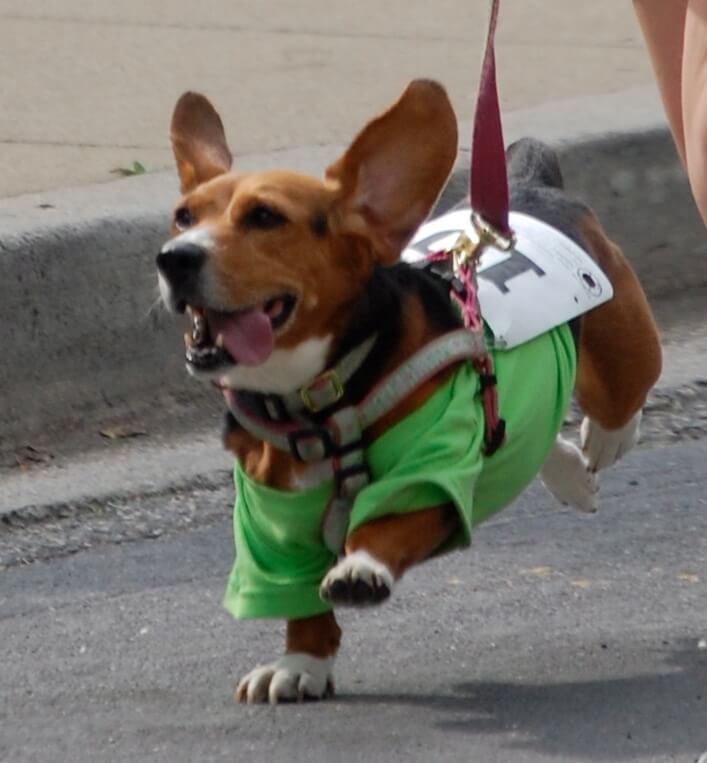 Daisy Running